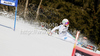 Federica Brignone of Italy crashing in first run of women giant slalom race of Audi FIS Alpine skiing World cup in Ofterschwang, Germany. Women giant slalom race of Audi FIS Alpine skiing World cup was held in Ofterschwang, Germany, on Saturday, 3rd of March 2012.
