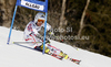 Stefanie Koehle of Austria skiing in first run of women giant slalom race of Audi FIS Alpine skiing World cup in Ofterschwang, Germany. Women giant slalom race of Audi FIS Alpine skiing World cup was held in Ofterschwang, Germany, on Saturday, 3rd of March 2012.
