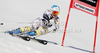 Julia Mancuso of USA skiing in first run of women giant slalom race of Audi FIS Alpine skiing World cup in Ofterschwang, Germany. Women giant slalom race of Audi FIS Alpine skiing World cup was held in Ofterschwang, Germany, on Saturday, 3rd of March 2012.
