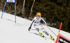 Lena Duerr of Germany skiing in first run of women giant slalom race of Audi FIS Alpine skiing World cup in Ofterschwang, Germany. Women giant slalom race of Audi FIS Alpine skiing World cup was held in Ofterschwang, Germany, on Saturday, 3rd of March 2012.

