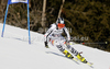 Veronika Staber of Germany skiing in first run of women giant slalom race of Audi FIS Alpine skiing World cup in Ofterschwang, Germany. Women giant slalom race of Audi FIS Alpine skiing World cup was held in Ofterschwang, Germany, on Saturday, 3rd of March 2012.
