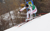 Joachim Puchner of Austria skiing in first training for men downhill race of Audi FIS Alpine skiing World cup finals in Schladming, Austria. Training for men downhill race of Audi FIS Alpine skiing World cup finals was held in Schladming, Austria, on Tuesday, 13th of March 2012.
