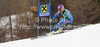 Ted Ligety of USA skiing in first training for men downhill race of Audi FIS Alpine skiing World cup finals in Schladming, Austria. Training for men downhill race of Audi FIS Alpine skiing World cup finals was held in Schladming, Austria, on Tuesday, 13th of March 2012.
