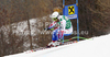 Yannick Bertrand of France skiing in first training for men downhill race of Audi FIS Alpine skiing World cup finals in Schladming, Austria. Training for men downhill race of Audi FIS Alpine skiing World cup finals was held in Schladming, Austria, on Tuesday, 13th of March 2012.
