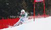 Tina Weirather of Liechtenstein skiing in first training for women downhill race of Audi FIS Alpine skiing World cup finals in Schladming, Austria. Training for women downhill race of Audi FIS Alpine skiing World cup finals was held in Schladming, Austria, on Tuesday, 13th of March 2012.
