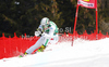 Johanna Schnarf of Italy skiing in first training for women downhill race of Audi FIS Alpine skiing World cup finals in Schladming, Austria. Training for women downhill race of Audi FIS Alpine skiing World cup finals was held in Schladming, Austria, on Tuesday, 13th of March 2012.
