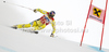 Overall super-g World cup winner Aksel Lund Svindal of Norway skiing in men super-g race of Audi FIS Alpine skiing World cup finals in Schladming, Austria. Men super-g race of Audi FIS Alpine skiing World cup finals was held in Schladming, Austria, on Thursday, 15th of March 2012.
