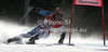 Didier Cuche of Switzerland skiing in first run of men giant slalom race of Audi FIS Alpine skiing World cup finals in Schladming, Austria. Men giant slalom race of Audi FIS Alpine skiing World cup finals was held in Schladming, Austria, on Saturday, 17th of March 2012.
