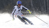 Felix Neureuther of Germany skiing in first run of men slalom race of Audi FIS Alpine skiing World cup finals in Schladming, Austria. Men slalom race of Audi FIS Alpine skiing World cup finals was held in Schladming, Austria, on Sunday, 18th of March 2012.

