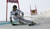 Elisabeth Goergl of Austria skiing in first run of women giant slalom race of Audi FIS Alpine skiing World cup finals in Schladming, Austria. Women giant slalom race of Audi FIS Alpine skiing World cup finals was held in Schladming, Austria, on Sunday, 18th of March 2012.
