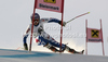 Tessa Worley of France skiing in first run of women giant slalom race of Audi FIS Alpine skiing World cup finals in Schladming, Austria. Women giant slalom race of Audi FIS Alpine skiing World cup finals was held in Schladming, Austria, on Sunday, 18th of March 2012.
