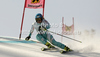 Tanja Poutiainen of Finland skiing in first run of women giant slalom race of Audi FIS Alpine skiing World cup finals in Schladming, Austria. Women giant slalom race of Audi FIS Alpine skiing World cup finals was held in Schladming, Austria, on Sunday, 18th of March 2012.
