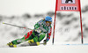 Tanja Poutiainen of Finland skiing in first run of women giant slalom race of Audi FIS Alpine skiing World cup 2012-2013 in Soelden, Austria. First women giant slalom race of Audi FIS Alpine skiing World cup was held on Rettenbach glacier above Soelden, Austria, on Saturday, 27th of October 2012.
