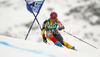 Marie-Michele Gagnon of Canada skiing in first run of women giant slalom race of Audi FIS Alpine skiing World cup 2012-2013 in Soelden, Austria. First women giant slalom race of Audi FIS Alpine skiing World cup was held on Rettenbach glacier above Soelden, Austria, on Saturday, 27th of October 2012.
