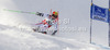 Marcel Hirscher of Austria skiing in first run of men giant slalom race of Audi FIS Alpine skiing World cup 2012-2013 in Soelden, Austria. First men giant slalom race of Audi FIS Alpine skiing World cup was held on Rettenbach glacier above Soelden, Austria, on Sunday, 28th of October 2012.
