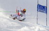 Marcel Hirscher of Austria skiing in first run of men giant slalom race of Audi FIS Alpine skiing World cup 2012-2013 in Soelden, Austria. First men giant slalom race of Audi FIS Alpine skiing World cup was held on Rettenbach glacier above Soelden, Austria, on Sunday, 28th of October 2012.
