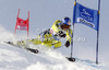 Aksel Lund Svindal of Norway skiing in first run of men giant slalom race of Audi FIS Alpine skiing World cup 2012-2013 in Soelden, Austria. First men giant slalom race of Audi FIS Alpine skiing World cup was held on Rettenbach glacier above Soelden, Austria, on Sunday, 28th of October 2012.
