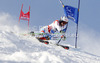 Carlo Janka of Switzerland skiing in first run of men giant slalom race of Audi FIS Alpine skiing World cup 2012-2013 in Soelden, Austria. First men giant slalom race of Audi FIS Alpine skiing World cup was held on Rettenbach glacier above Soelden, Austria, on Sunday, 28th of October 2012.
