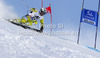 Truls Ove Karlsen of Norway skiing in first run of men giant slalom race of Audi FIS Alpine skiing World cup 2012-2013 in Soelden, Austria. First men giant slalom race of Audi FIS Alpine skiing World cup was held on Rettenbach glacier above Soelden, Austria, on Sunday, 28th of October 2012.
