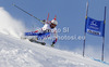 Gauthier De Tessieres of France skiing in first run of men giant slalom race of Audi FIS Alpine skiing World cup 2012-2013 in Soelden, Austria. First men giant slalom race of Audi FIS Alpine skiing World cup was held on Rettenbach glacier above Soelden, Austria, on Sunday, 28th of October 2012.
