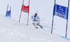 Stefan Luitz of Germany skiing in first run of men giant slalom race of Audi FIS Alpine skiing World cup 2012-2013 in Soelden, Austria. First men giant slalom race of Audi FIS Alpine skiing World cup was held on Rettenbach glacier above Soelden, Austria, on Sunday, 28th of October 2012.
