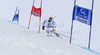 Stefan Luitz of Germany skiing in first run of men giant slalom race of Audi FIS Alpine skiing World cup 2012-2013 in Soelden, Austria. First men giant slalom race of Audi FIS Alpine skiing World cup was held on Rettenbach glacier above Soelden, Austria, on Sunday, 28th of October 2012.
