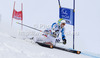 Stefan Luitz of Germany skiing in first run of men giant slalom race of Audi FIS Alpine skiing World cup 2012-2013 in Soelden, Austria. First men giant slalom race of Audi FIS Alpine skiing World cup was held on Rettenbach glacier above Soelden, Austria, on Sunday, 28th of October 2012.
