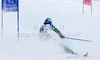 Andreas Romar of Finland skiing in first run of men giant slalom race of Audi FIS Alpine skiing World cup 2012-2013 in Soelden, Austria. First men giant slalom race of Audi FIS Alpine skiing World cup was held on Rettenbach glacier above Soelden, Austria, on Sunday, 28th of October 2012.
