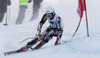 Filip Zubcic of Croatia skiing in first run of men giant slalom race of Audi FIS Alpine skiing World cup 2012-2013 in Soelden, Austria. First men giant slalom race of Audi FIS Alpine skiing World cup was held on Rettenbach glacier above Soelden, Austria, on Sunday, 28th of October 2012.
