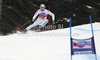 Third placed Werner Heel of Italy skiing in men super-g race of Audi FIS Alpine skiing World cup 2012-2013 in Val Gardena, Italy. Man super-g race of Audi FIS Alpine skiing World cup was held on Saslong course in Val Gardena, Italy, on Friday, 14th of December 2012.
