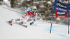Stefan Luitz of Germany skiing in first run of men giant slalom race of Audi FIS Alpine skiing World cup 2012-2013 in Alta Badia, Italy. Man giant slalom race of Audi FIS Alpine skiing World cup was held on Gran Risa course in Alta Badia, Italy, on Sunday, 16th of December 2012.

