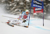 Stefan Luitz of Germany skiing in first run of men giant slalom race of Audi FIS Alpine skiing World cup 2012-2013 in Alta Badia, Italy. Man giant slalom race of Audi FIS Alpine skiing World cup was held on Gran Risa course in Alta Badia, Italy, on Sunday, 16th of December 2012.

