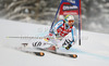 Stefan Luitz of Germany skiing in first run of men giant slalom race of Audi FIS Alpine skiing World cup 2012-2013 in Alta Badia, Italy. Man giant slalom race of Audi FIS Alpine skiing World cup was held on Gran Risa course in Alta Badia, Italy, on Sunday, 16th of December 2012.
