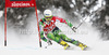 Samu Torsti of Finland skiing in first run of men giant slalom race of Audi FIS Alpine skiing World cup 2012-2013 in Alta Badia, Italy. Man giant slalom race of Audi FIS Alpine skiing World cup was held on Gran Risa course in Alta Badia, Italy, on Sunday, 16th of December 2012.
