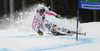 Viktoria Rebensburg of Germany skiing in first run of women giant slalom race of Audi FIS Alpine skiing World cup 2012-2013 in Semmering, Austria. Women giant slalom race of Audi FIS Alpine skiing World cup was held in Semmering, Austria, on Friday, 28th of December 2012.
