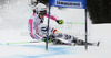 Viktoria Rebensburg of Germany skiing in first run of women giant slalom race of Audi FIS Alpine skiing World cup 2012-2013 in Semmering, Austria. Women giant slalom race of Audi FIS Alpine skiing World cup was held in Semmering, Austria, on Friday, 28th of December 2012.
