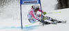 Viktoria Rebensburg of Germany skiing in first run of women giant slalom race of Audi FIS Alpine skiing World cup 2012-2013 in Semmering, Austria. Women giant slalom race of Audi FIS Alpine skiing World cup was held in Semmering, Austria, on Friday, 28th of December 2012.

