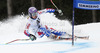 Tessa Worley of France skiing in first run of women giant slalom race of Audi FIS Alpine skiing World cup 2012-2013 in Semmering, Austria. Women giant slalom race of Audi FIS Alpine skiing World cup was held in Semmering, Austria, on Friday, 28th of December 2012.
