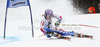 Tessa Worley of France skiing in first run of women giant slalom race of Audi FIS Alpine skiing World cup 2012-2013 in Semmering, Austria. Women giant slalom race of Audi FIS Alpine skiing World cup was held in Semmering, Austria, on Friday, 28th of December 2012.
