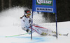 Elisabeth Goergl of Austria skiing in first run of women giant slalom race of Audi FIS Alpine skiing World cup 2012-2013 in Semmering, Austria. Women giant slalom race of Audi FIS Alpine skiing World cup was held in Semmering, Austria, on Friday, 28th of December 2012.
