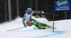Tanja Poutiainen of Finland skiing in first run of women giant slalom race of Audi FIS Alpine skiing World cup 2012-2013 in Semmering, Austria. Women giant slalom race of Audi FIS Alpine skiing World cup was held in Semmering, Austria, on Friday, 28th of December 2012.
