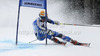 Frida Hansdotter of Sweden skiing in first run of women giant slalom race of Audi FIS Alpine skiing World cup 2012-2013 in Semmering, Austria. Women giant slalom race of Audi FIS Alpine skiing World cup was held in Semmering, Austria, on Friday, 28th of December 2012.
