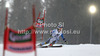 Mikaela Shiffrin of USA skiing in first run of women giant slalom race of Audi FIS Alpine skiing World cup 2012-2013 in Semmering, Austria. Women giant slalom race of Audi FIS Alpine skiing World cup was held in Semmering, Austria, on Friday, 28th of December 2012.
