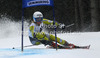 Lotte Smiseth Sejersted of Norway skiing in first run of women giant slalom race of Audi FIS Alpine skiing World cup 2012-2013 in Semmering, Austria. Women giant slalom race of Audi FIS Alpine skiing World cup was held in Semmering, Austria, on Friday, 28th of December 2012.
