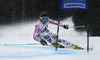 Simona Hoesl of Germany skiing in first run of women giant slalom race of Audi FIS Alpine skiing World cup 2012-2013 in Semmering, Austria. Women giant slalom race of Audi FIS Alpine skiing World cup was held in Semmering, Austria, on Friday, 28th of December 2012.

