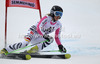 Simona Hoesl of Germany skiing in first run of women giant slalom race of Audi FIS Alpine skiing World cup 2012-2013 in Semmering, Austria. Women giant slalom race of Audi FIS Alpine skiing World cup was held in Semmering, Austria, on Friday, 28th of December 2012.
