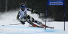 Mona Loeseth of Norway skiing in first run of women giant slalom race of Audi FIS Alpine skiing World cup 2012-2013 in Semmering, Austria. Women giant slalom race of Audi FIS Alpine skiing World cup was held in Semmering, Austria, on Friday, 28th of December 2012.
