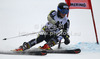 Mona Loeseth of Norway skiing in first run of women giant slalom race of Audi FIS Alpine skiing World cup 2012-2013 in Semmering, Austria. Women giant slalom race of Audi FIS Alpine skiing World cup was held in Semmering, Austria, on Friday, 28th of December 2012.
