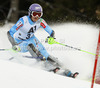 Tina Maze of Slovenia skiing in first run of women slalom race of Audi FIS Alpine skiing World cup 2012-2013 in Semmering, Austria. Women slalom race of Audi FIS Alpine skiing World cup was held in Semmering, Austria, on Saturday, 29th of December 2012.
