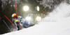 Mattias Hargin of Sweden skiing in first run of men slalom Snow Queen Trophy race of Audi FIS Alpine skiing World cup 2012-2013 on Sljeme above Zagreb, Croatia. Men slalom Snow Queen Trophy race of Audi FIS Alpine skiing World cup was held on Sljeme above Zagreb, Croatia, on Sunday, 6th of January 2013.

